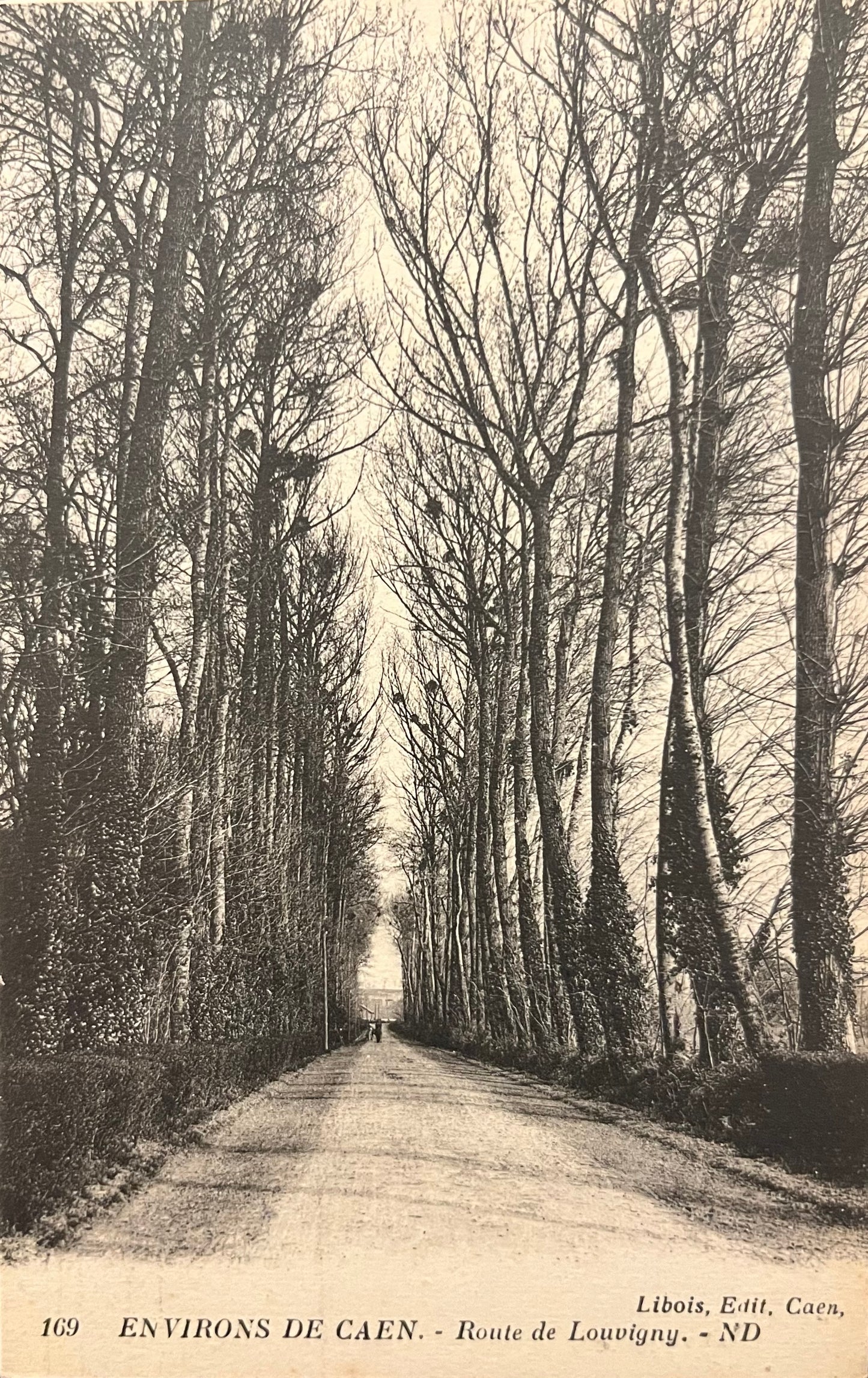 CPA FR14 Environs de Caen - Route de Louvigny