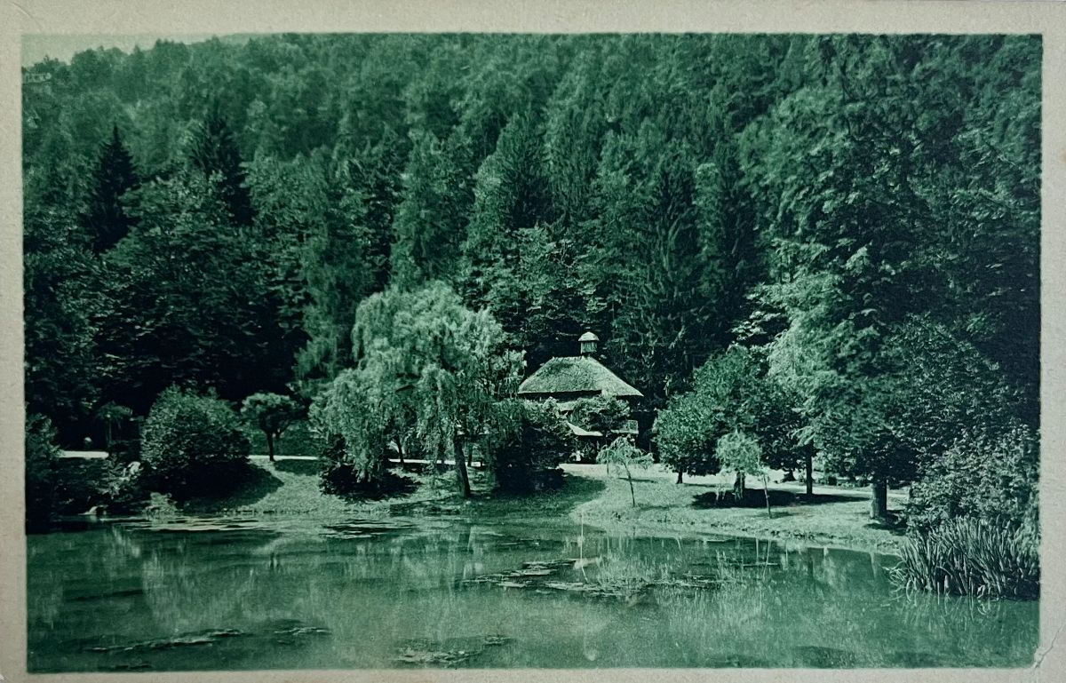 CPA FR31 Luchon - Le Parc des Quinconces et la Buvette du Pré
