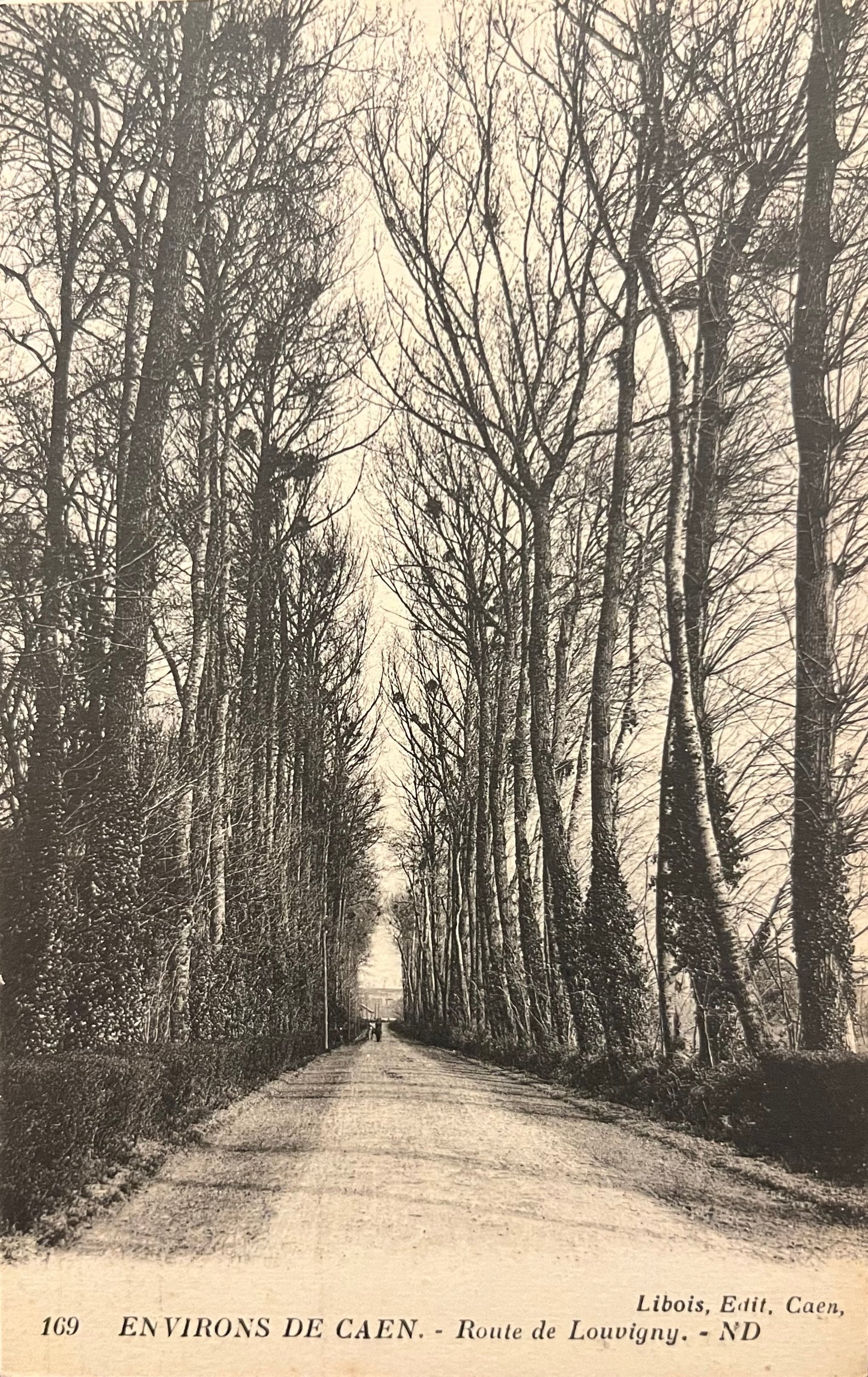 CPA FR14 Environs de Caen - Route de Louvigny