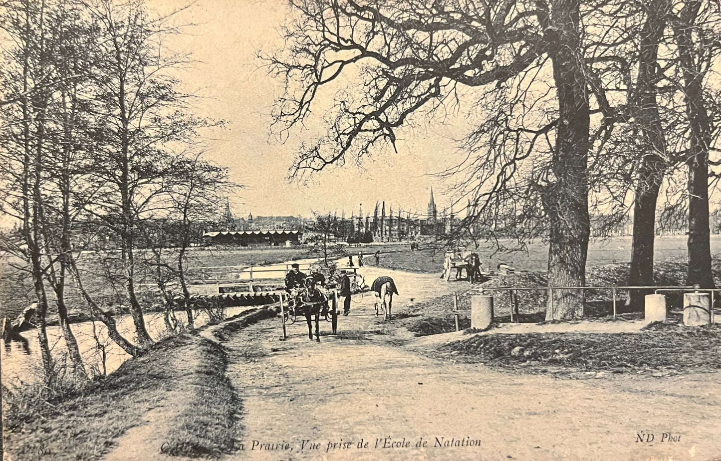 CPA FR14 Caen - La Prairie, Vue prise de l’Ecole de Natation