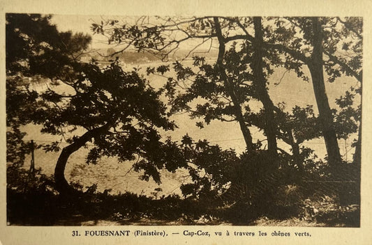 CPA FR29 Fouesnant (Finistère) - Cap-Coz, vu à travers les chênes verts