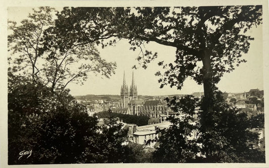 CPA FR29 Quimper - Panorama vers la Cathédrale Saint-Corentin