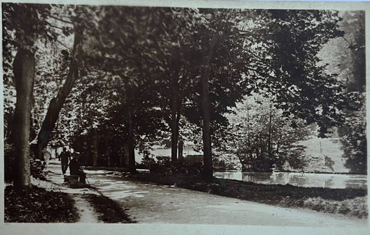 CPA FR31 Luchon - Le Parc des Quinconces LL