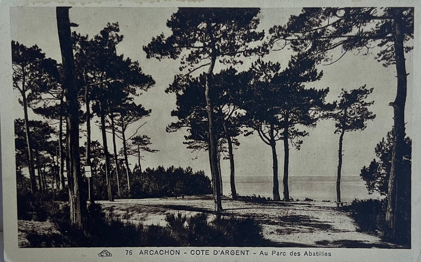 CPA FR33 Arcachon - Cote d'Argent - Au Parc des Abatilles