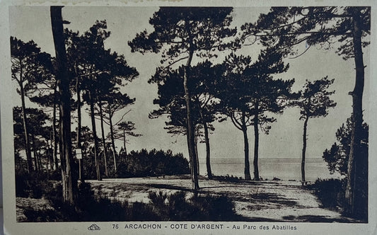 CPA FR33 Arcachon - Cote d'Argent - Au Parc des Abatilles