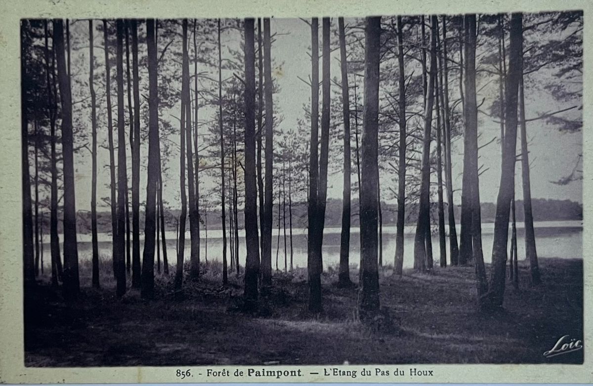 CPA FR35 Forêt de Paimpont - L'Etang du Pas du Houx