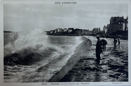 CPA FR35 Paramé - La Digue par Tempête - Cote d'Emeraude
