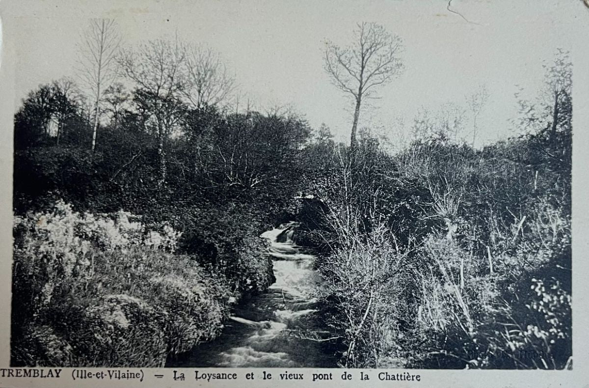 CPA FR35 Tremblay (Ille-et-Villaine) - La Loysance et le vieux pont de la Chattière