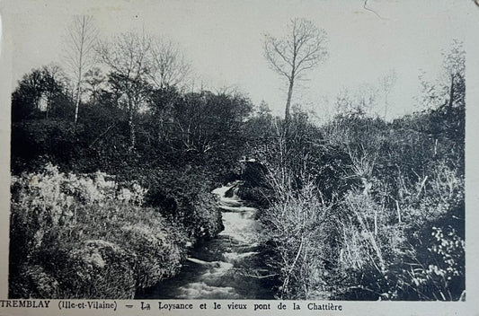 CPA FR35 Tremblay (Ille-et-Villaine) - La Loysance et le vieux pont de la Chattière