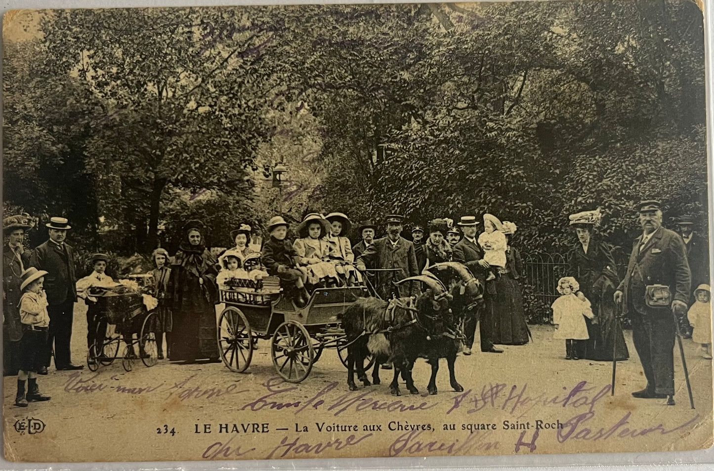 CPA FR76 Le Havre - La Voiture aux Chèvres, au square Saint-Roch recto