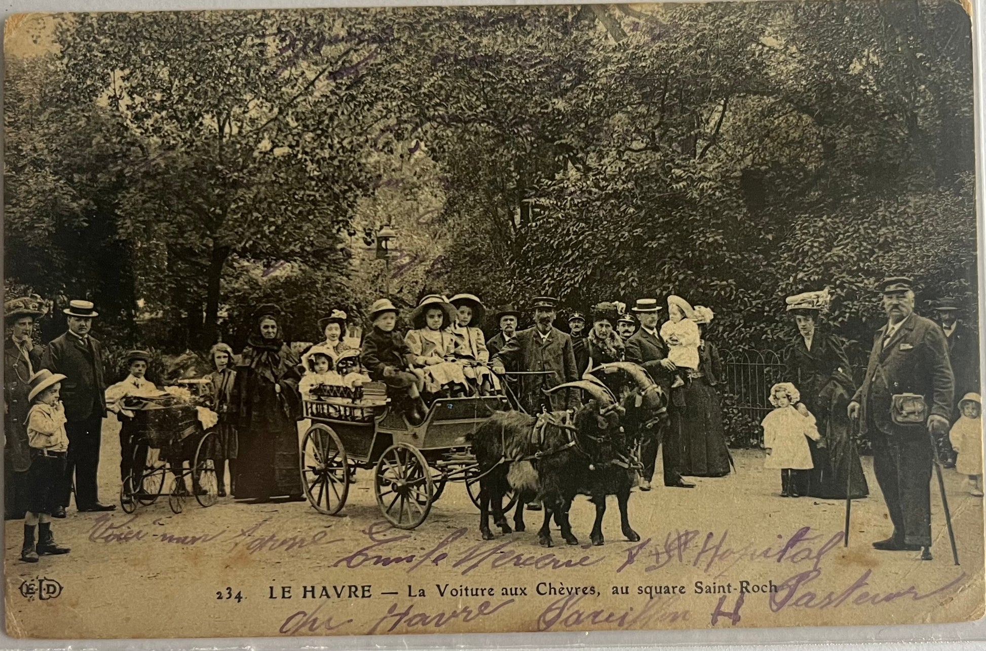 CPA FR76 Le Havre - La Voiture aux Chèvres, au square Saint-Roch recto