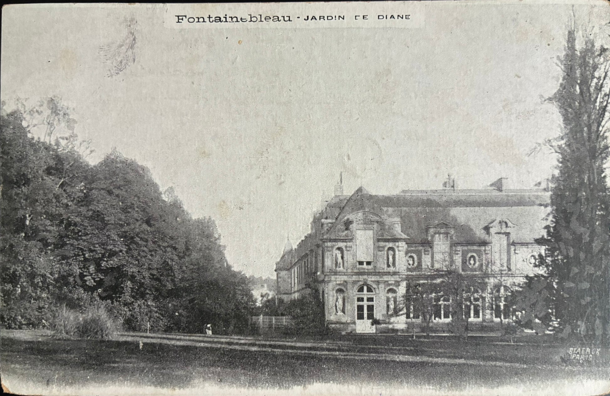 CPA FR77 Fontainebleau - Jardin de Diane