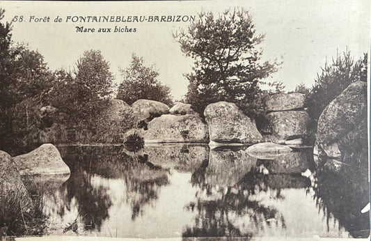 CPA FR77 Forêt de Fontainebleau-Barbizon - Mare aux biches