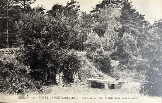 CPA FR77 Forêt de Fontainebleau - Fontaine Désirée - Sentier de la Tour Denecourt