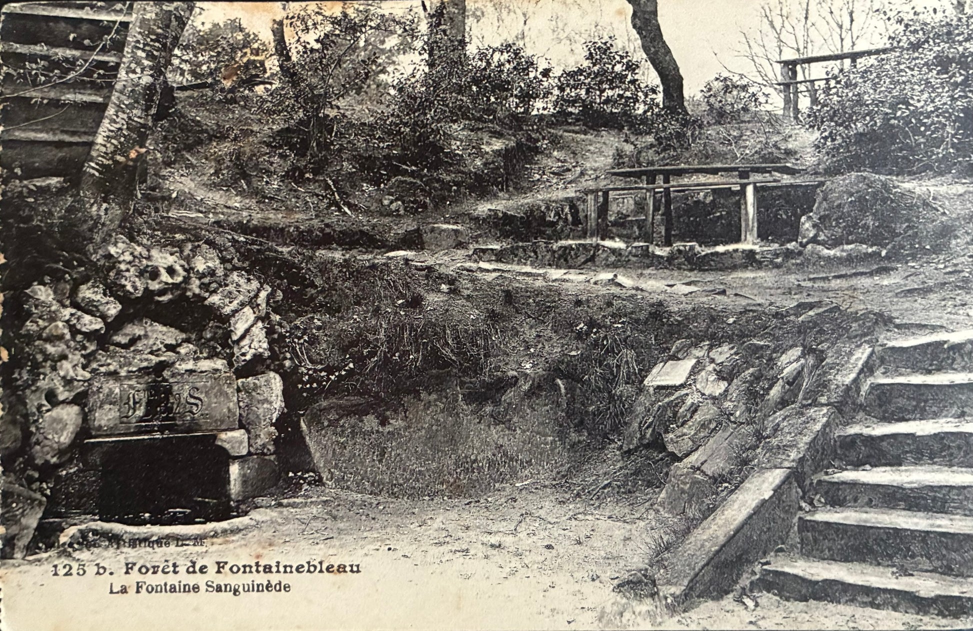 CPA FR77 Forêt de Fontainebleau - La Fontaine Sanguinède