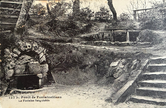 CPA FR77 Forêt de Fontainebleau - La Fontaine Sanguinède