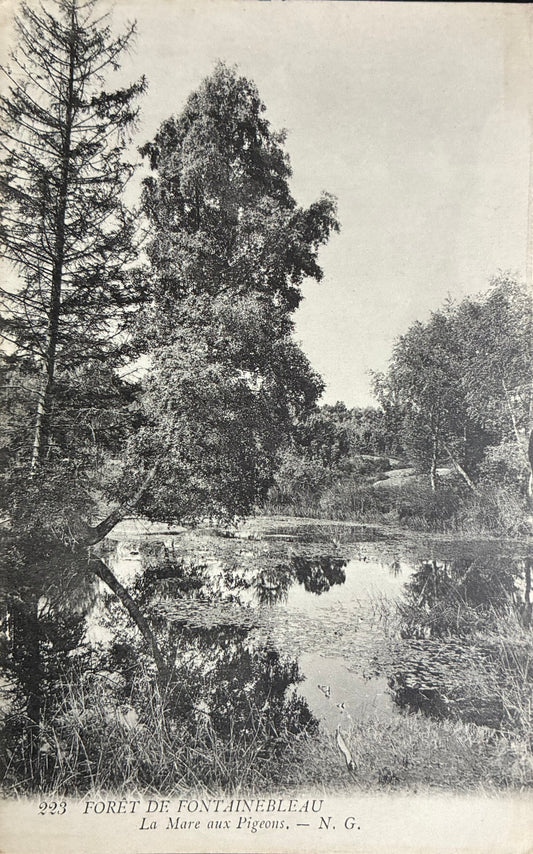 CPA FR77 Forêt de Fontainebleau - La mare aux Pigeons