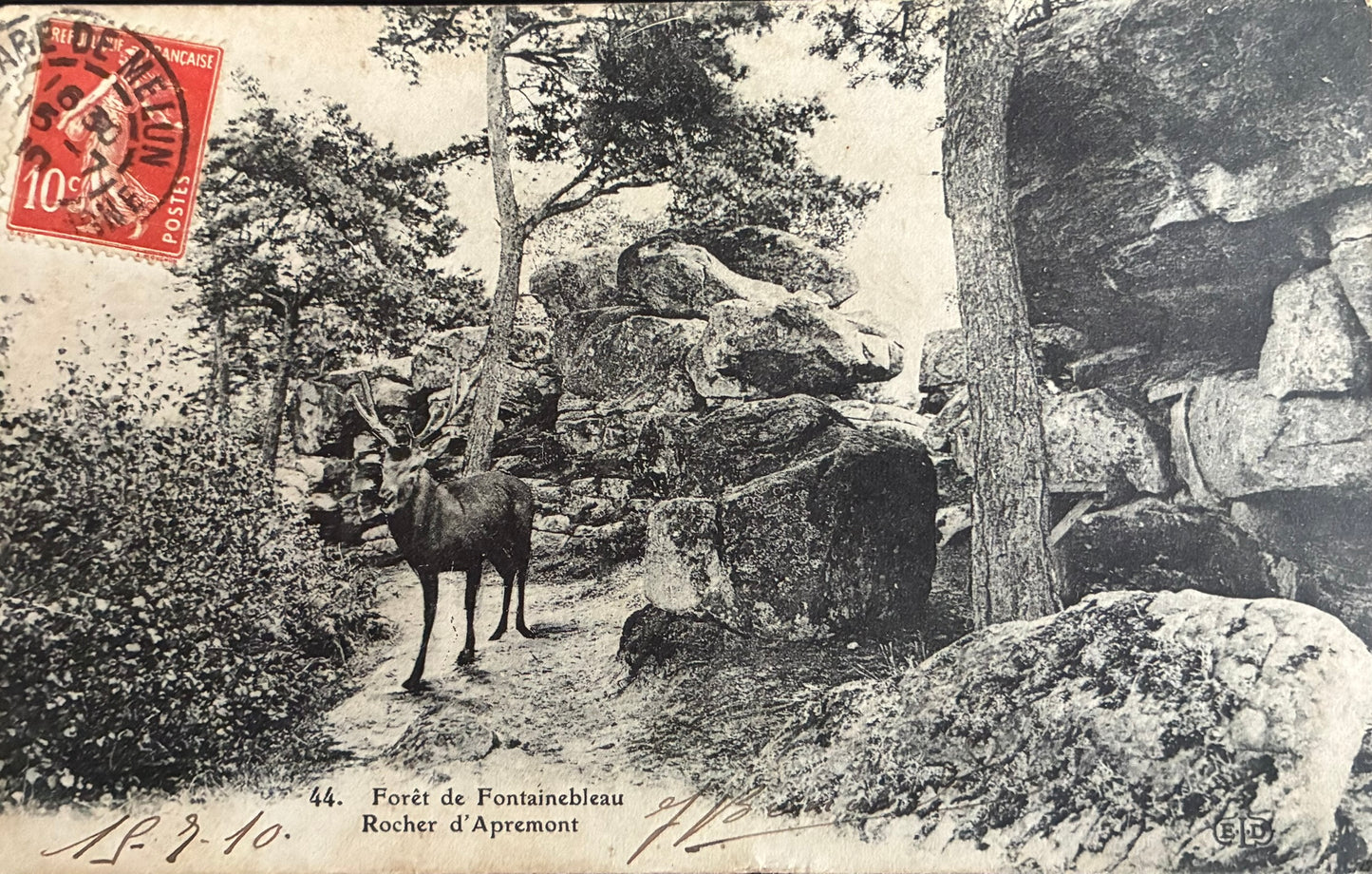 CPA FR77 Forêt de Fontainebleau - Rocher d'Apremont