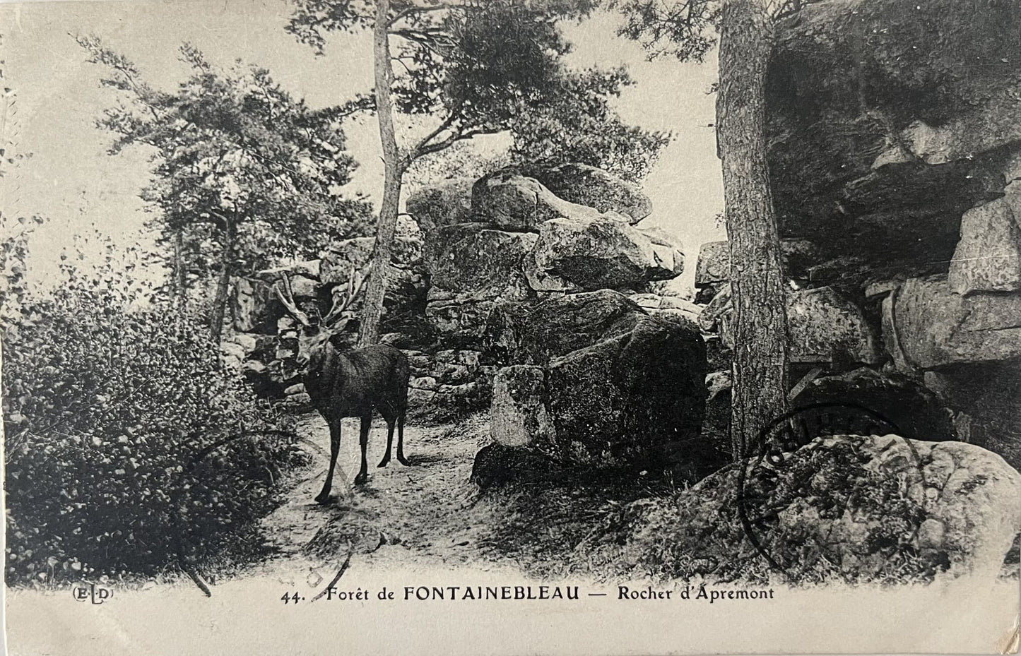 CPA FR77 Forêt de Fontainebleau - Rocher d'Apremont