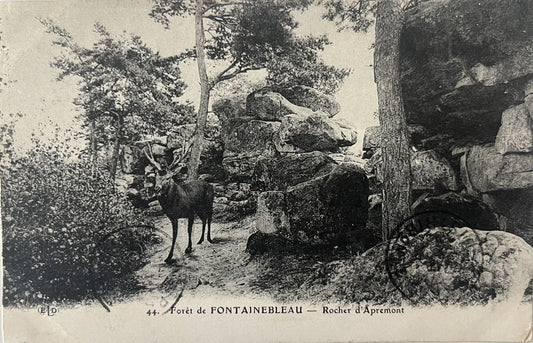 CPA FR77 Forêt de Fontainebleau - Rocher d'Apremont