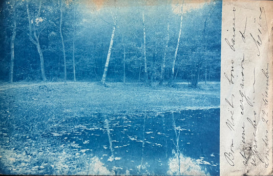 CPA FR77 Forêt de Fontainebleau