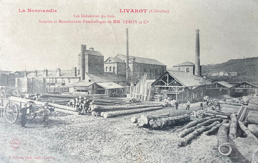 CPA FR14 Livarot (Calvados) - La Normandie - Les industries du bois - Scieries et Manufacture d'emballages de MM. LEROY et Cie